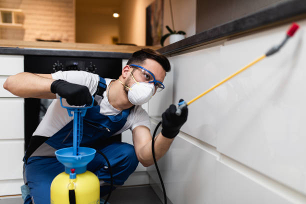 Best Pest Control Near Me  in Camden, AR