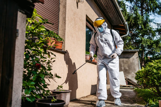 Best Best Pest Control Companies  in Camden, AR