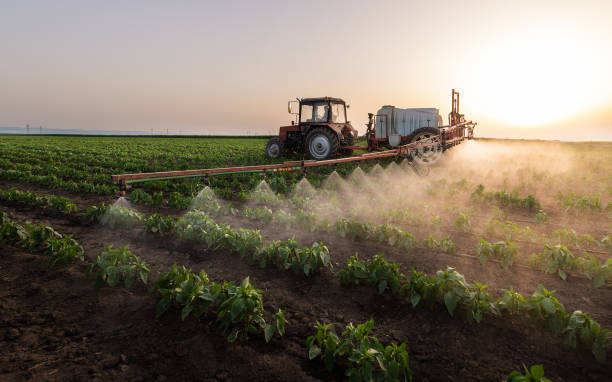 Best Pest Control for Homes  in Camden, AR