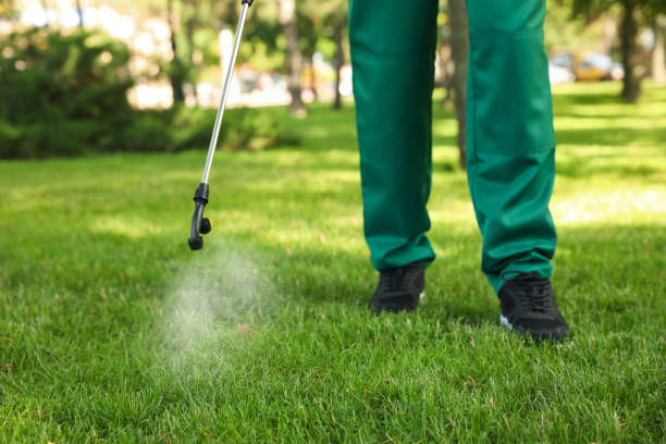 Professional Pest Control in Camden, AR