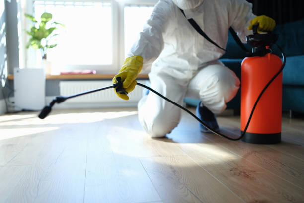 Best Pest Control Treatment  in Camden, AR