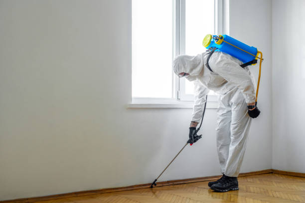 Best Commercial Pest Control Services  in Camden, AR