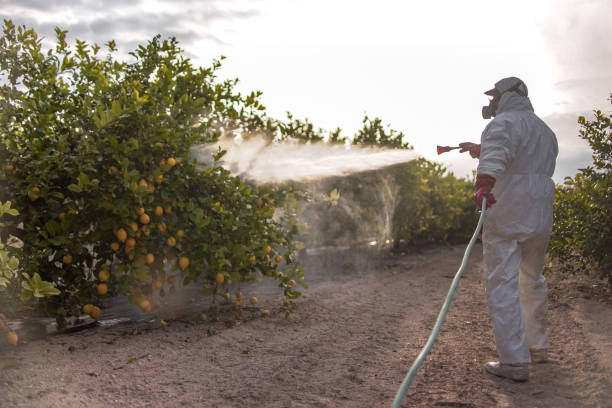 Pest Control for Restaurants in Camden, AR