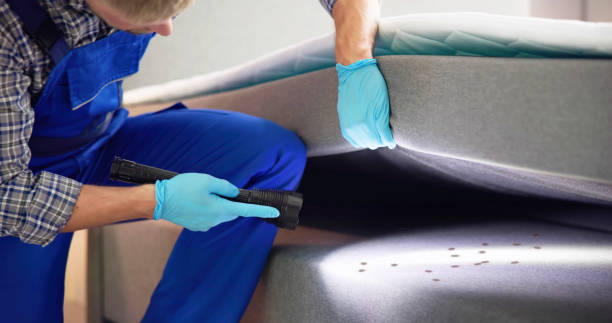 Best Termite Control Services  in Camden, AR