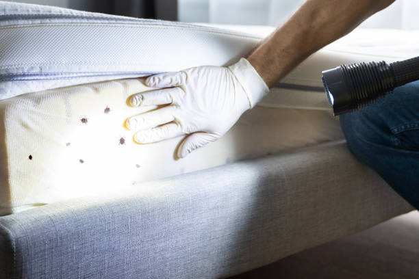 Best Pest Control for Restaurants  in Camden, AR