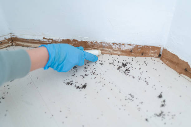 Best Pest Inspection Near Me  in Camden, AR