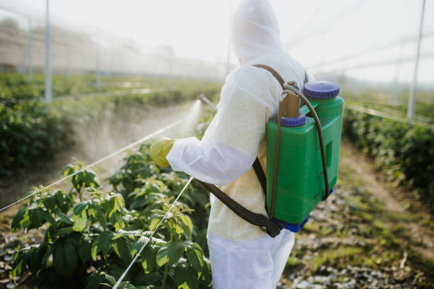 Best Emergency Pest Control  in Camden, AR